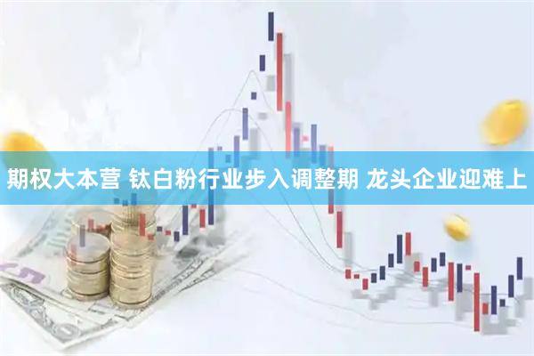 期权大本营 钛白粉行业步入调整期 龙头企业迎难上