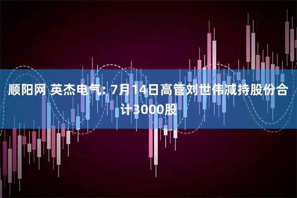 顺阳网 英杰电气: 7月14日高管刘世伟减持股份合计3000股